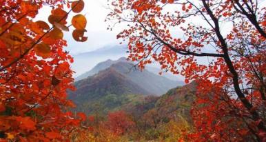 12月28日登广东七大名山-圭峰山登赏红叶 品鸭嘴鱼 吹响吃货集结号 特价：88元
