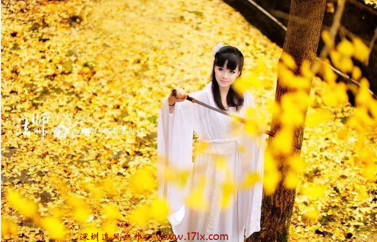 微信图片_20191127094036