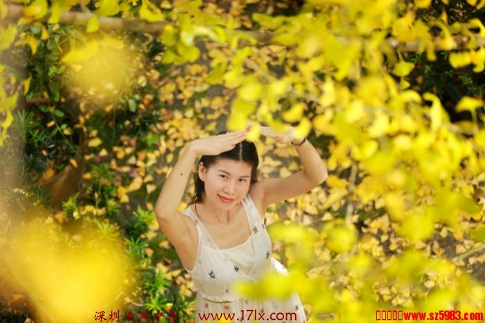112956bh024hz9q47rkrh8